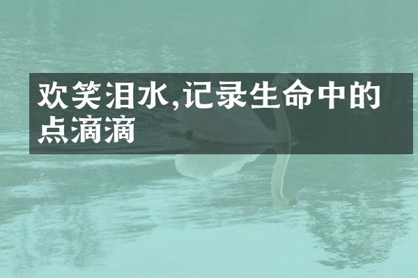 欢笑泪水,记录生命中的点点滴滴