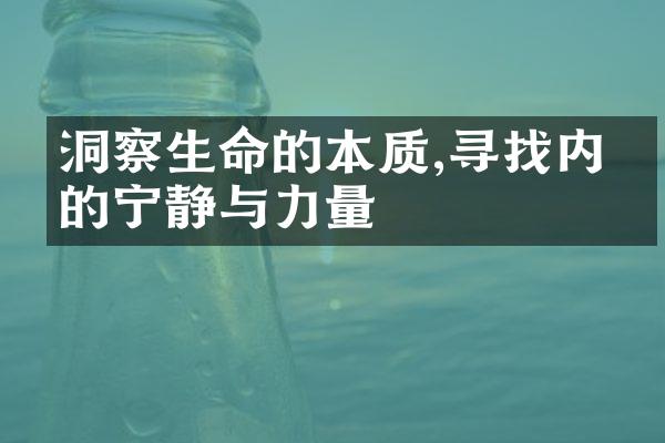 洞察生命的本质,寻找内心的宁静与力量