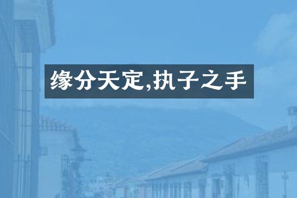 缘分天定,执子之手