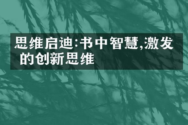 思维启迪:书中智慧,激发你的创新思维