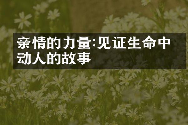 亲情的力量:见证生命中最动人的故事