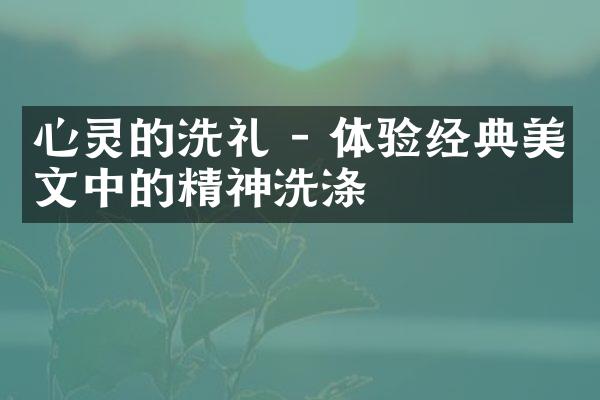 心灵的洗礼 - 体验经典美文中的精神洗涤