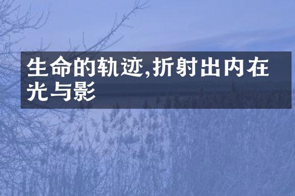生命的轨迹,折射出内在的光与影