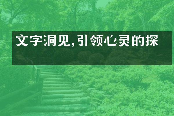 文字洞见,引领心灵的探索