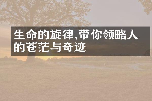 生命的旋律,带你领略人生的苍茫与奇迹
