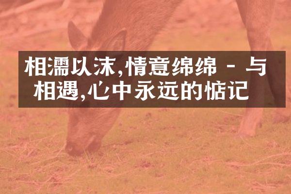 相濡以沫,情意绵绵 - 与你相遇,心中永远的惦记