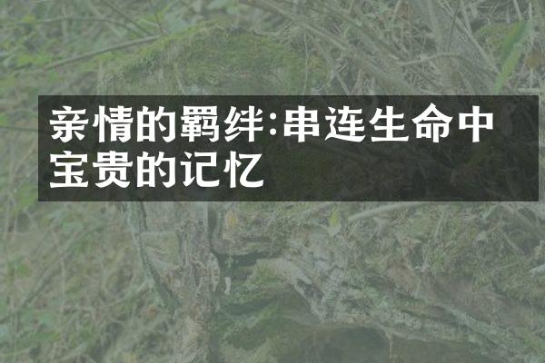 亲情的羁绊:串连生命中最宝贵的记忆