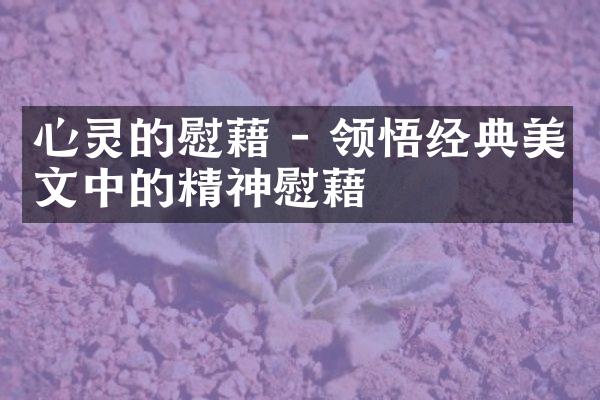 心灵的慰藉 - 领悟经典美文中的精神慰藉