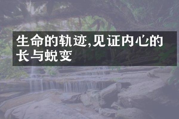 生命的轨迹,见证内心的成长与蜕变