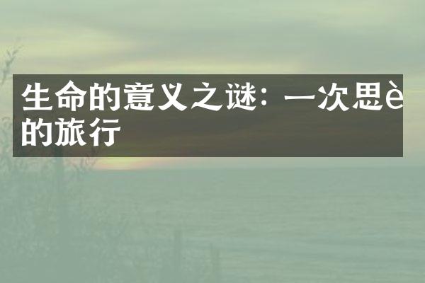 生命的意义之谜: 一次思考的旅行