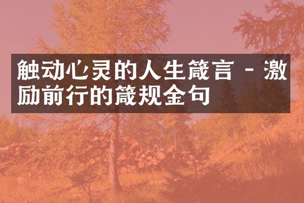 触动心灵的人生箴言 - 激励前行的箴规金句