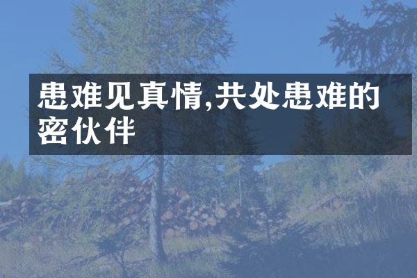 患难见真情,共处患难的亲密伙伴