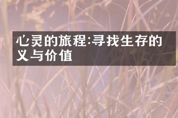 心灵的旅程:寻找生存的意义与价值