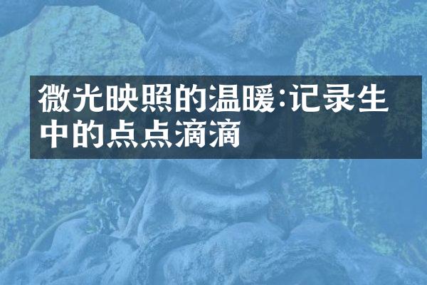 微光映照的温暖:记录生命中的点点滴滴