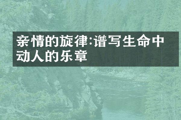 亲情的旋律:谱写生命中最动人的乐章