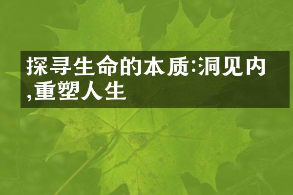 探寻生命的本质:洞见内心,重塑人生