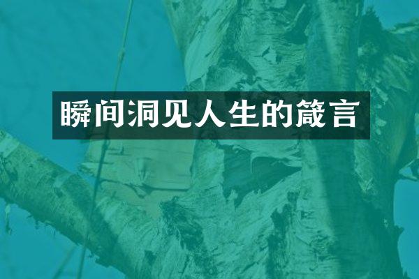 瞬间洞见人生的箴言