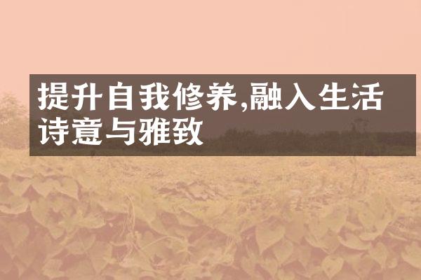 提升自我修养,融入生活的诗意与雅致