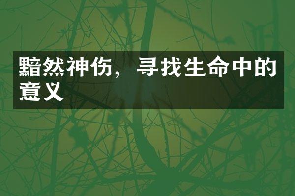 黯然神伤,寻找生命中的意义