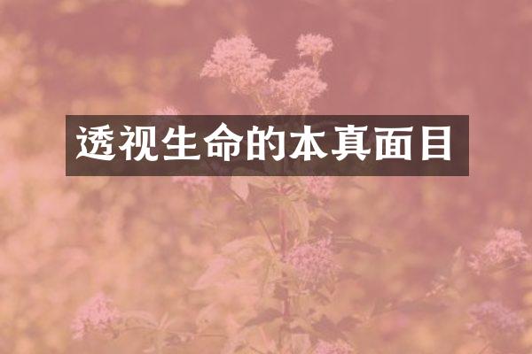 透视生命的本真面目