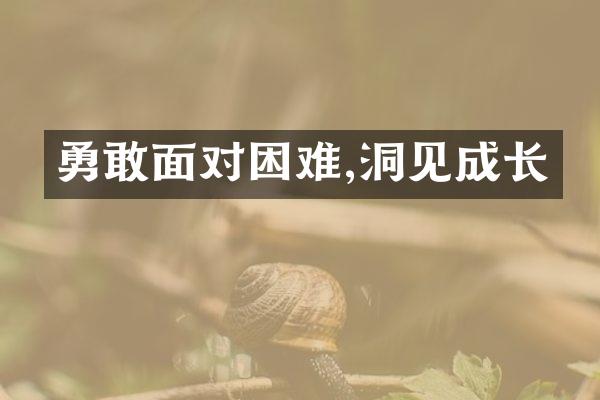 勇敢面对困难,洞见成长