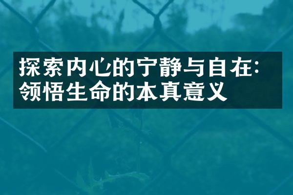 探索内心的宁静与自在:领悟生命的本真意义
