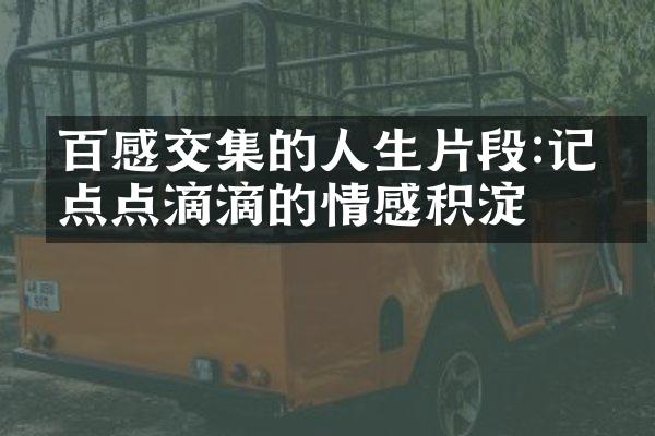 百感交集的人生片段:记录点点滴滴的情感积淀