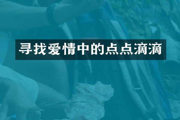 寻找爱情中的点点滴滴