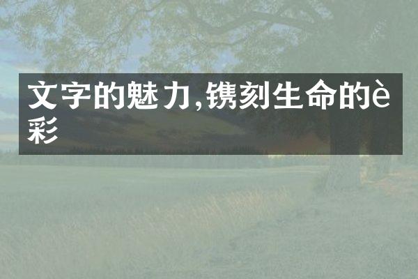 文字的魅力,镌刻生命的色彩