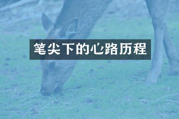 笔尖下的心路
