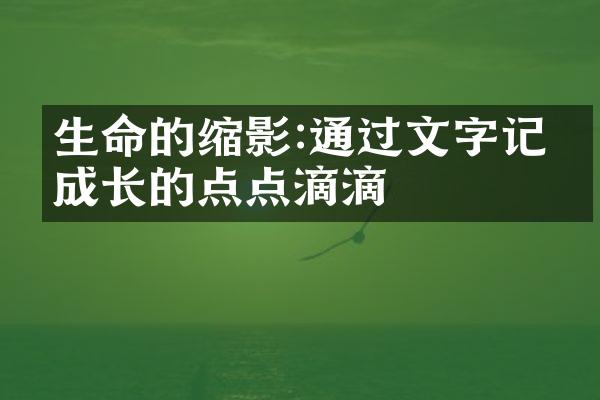 生命的缩影:通过文字记录成长的点点滴滴