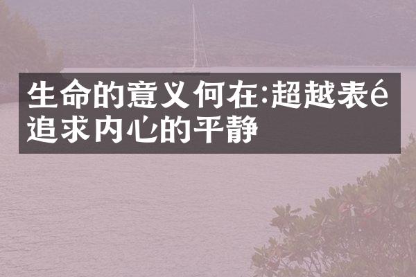 生命的意义何在:超越表面追求内心的平静