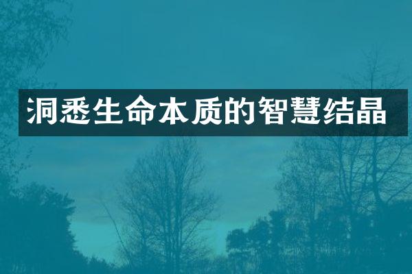 洞悉生命本质的智慧结晶