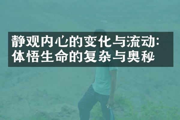 静观内心的变化与流动:体悟生命的复杂与奥秘