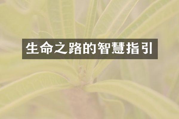生命之路的智慧指引