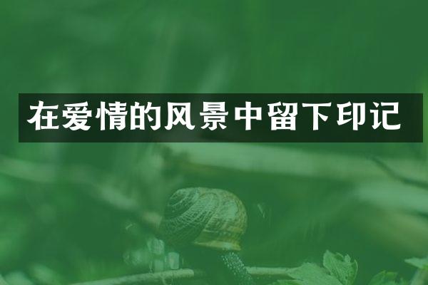 在爱情的风景中留下印记