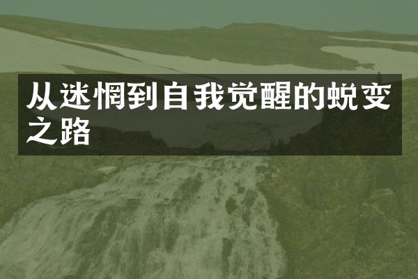 从迷惘到自我觉醒的蜕变之路