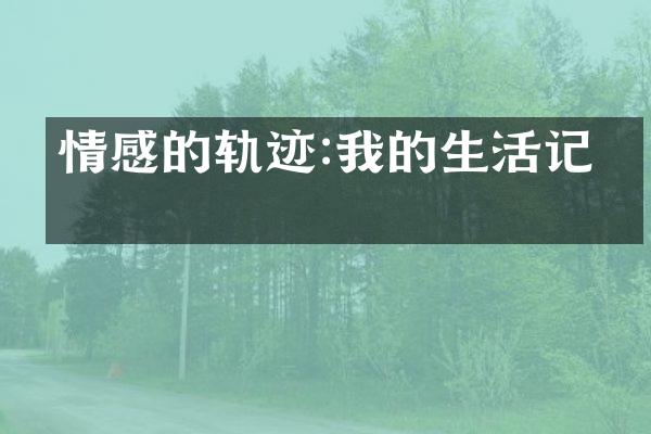 情感的轨迹:我的生活记录