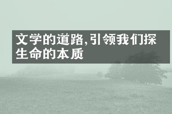 文学的道路,引领我们探寻生命的本质