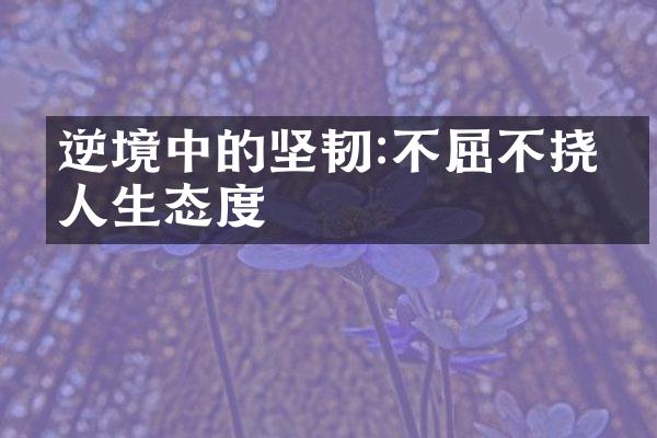 逆境中的坚韧:不屈不挠的人生态度