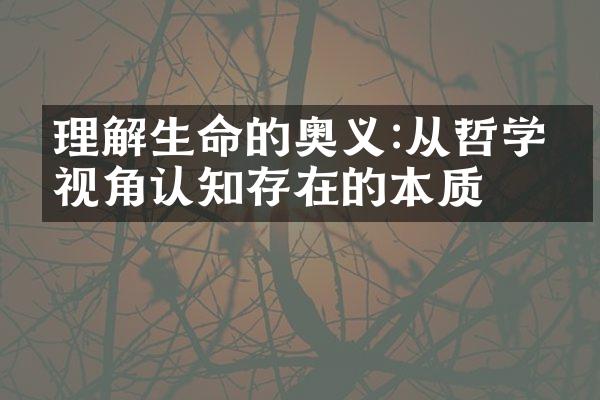 理解生命的奥义:从哲学的视角认知存在的本质
