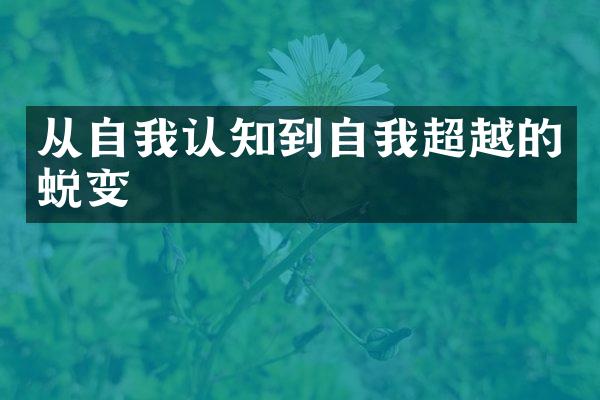 从自我认知到自我超越的蜕变