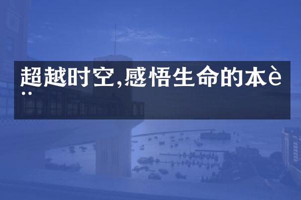 超越时空,感悟生命的本质