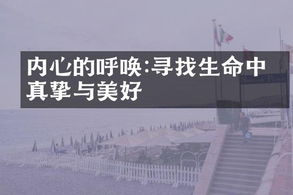 内心的呼唤:寻找生命中的真挚与美好