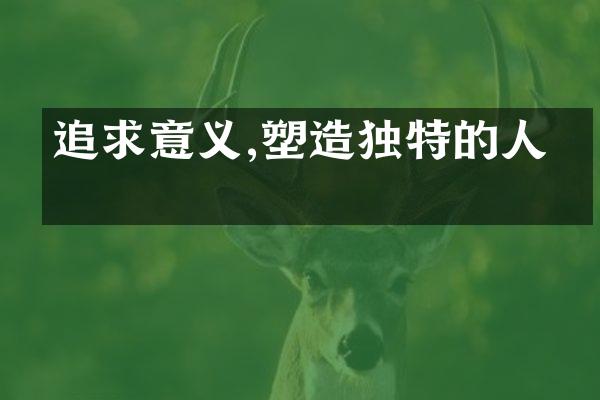 追求意义,塑造独特的人生
