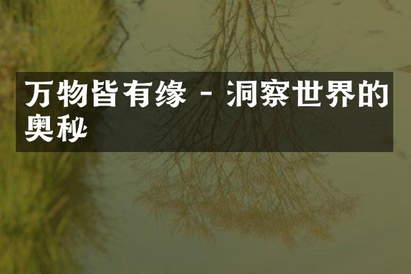 万物皆有缘 - 洞察世界的奥秘