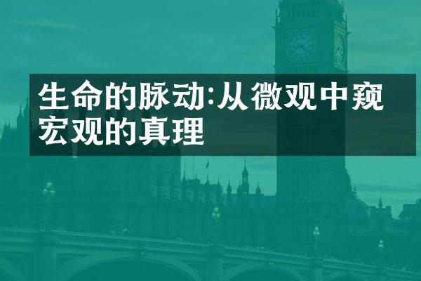 生命的脉动:从微观中窥探宏观的真理