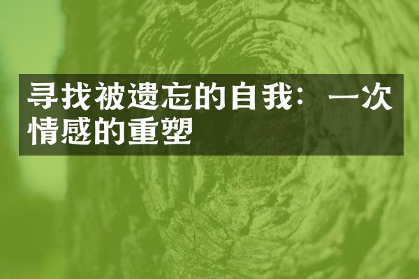 寻找被遗忘的自我:一次情感的重塑