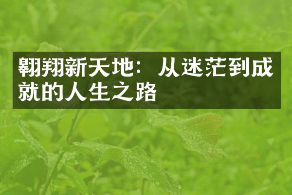 翱翔新天地:从迷茫到成就的人生之路