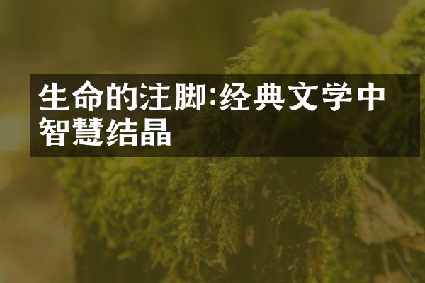 生命的注脚:经典文学中的智慧结晶